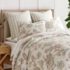 Selesta Blush Euro Sham Set Of 2 - Levtex Home 2 Selesta Blush Euro Sham Set Of 2 - Levtex Home -Levtex Home Shop GUEST 2c07202e 5dbb 487d 9f5b 8ec8405735d1