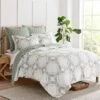 Kemala Sage Euro Sham Set Of 2 - Levtex Home 2 Kemala Sage Euro Sham Set Of 2 - Levtex Home -Levtex Home Shop GUEST 42983cfc 2b88 4748 8361 caff04b2fd85