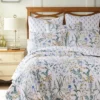 Apolonia Quilt And Pillow Sham Set - Villa Lugano By Levtex Home 1 Apolonia Quilt And Pillow Sham Set - Villa Lugano By Levtex Home -Levtex Home Shop GUEST d9db43d0 370c 4bb4 9ede 2d2a34fb0e77