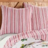 Joybirds Holiday Euro Sham Set Of 2 Red - Thatch Home 2 Joybirds Holiday Euro Sham Set Of 2 Red - Thatch Home -Levtex Home Shop GUEST efd18144 26e1 4157 a332 22514488d54f